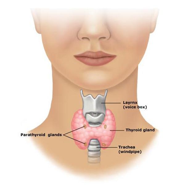 Thyroid Problem